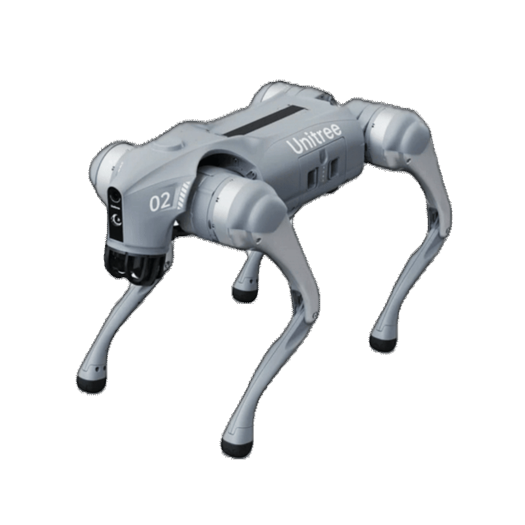 docdog animation